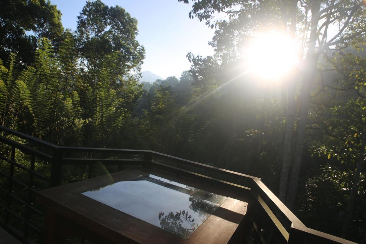Rivinu Holiday Resort Ella Bagian luar foto