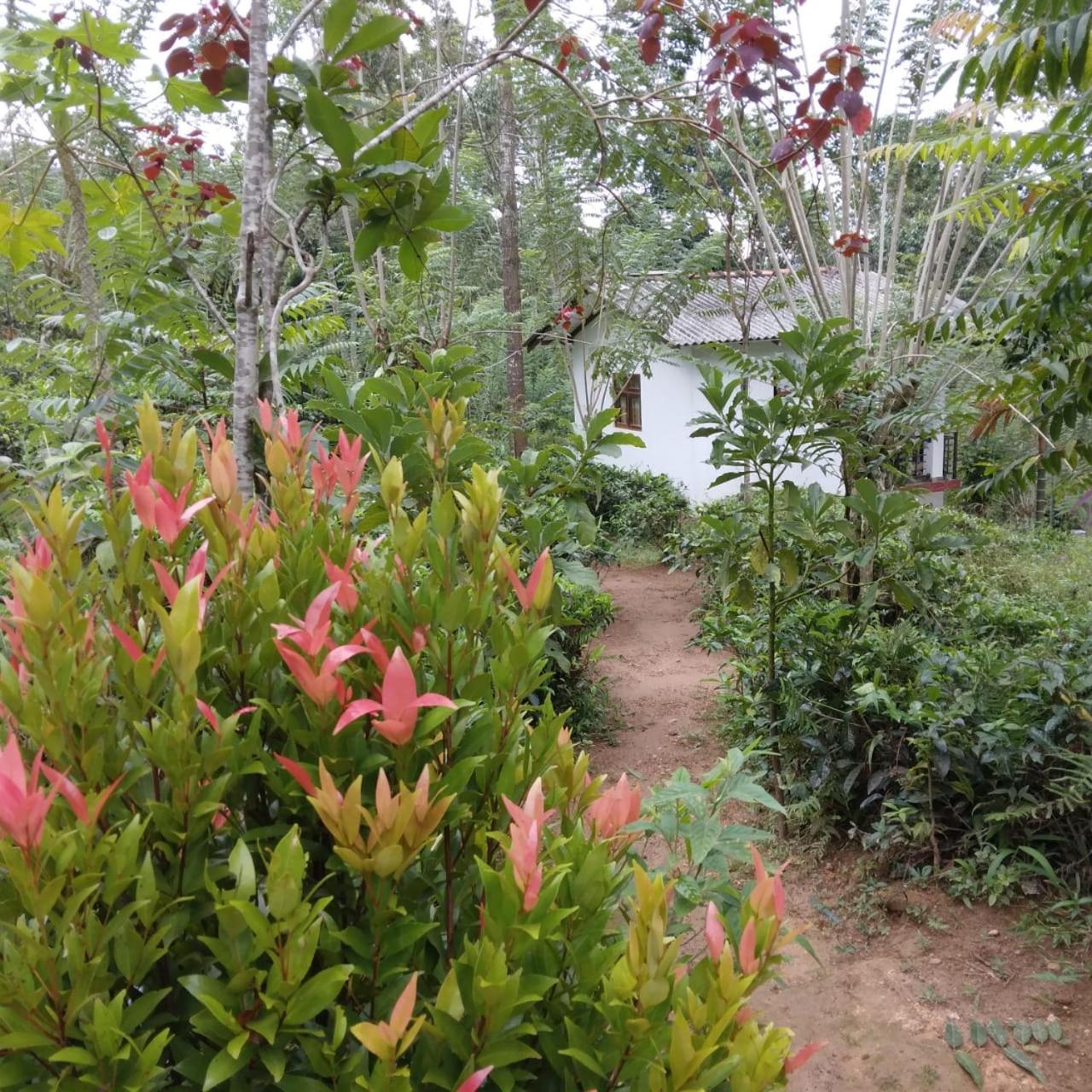 Rivinu Holiday Resort Ella Bagian luar foto